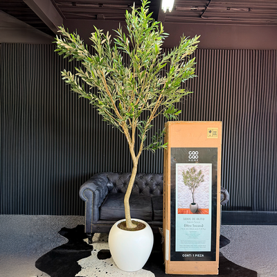 Árbol de Olivo Toscana 250 cm