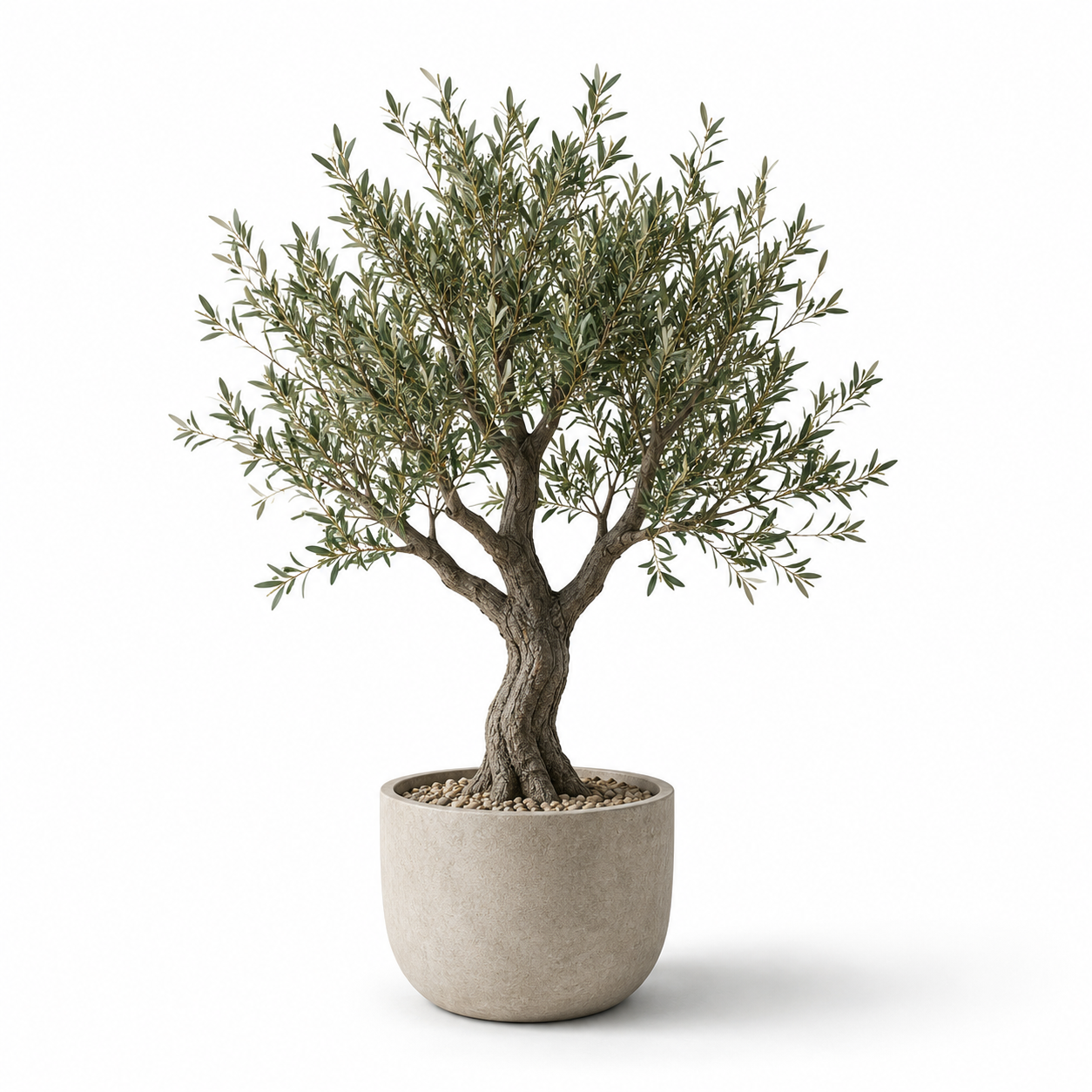 Árboles