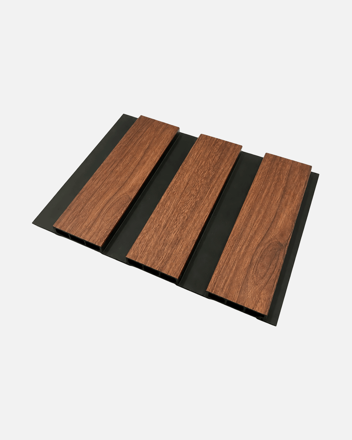 Wide Parota Black Background