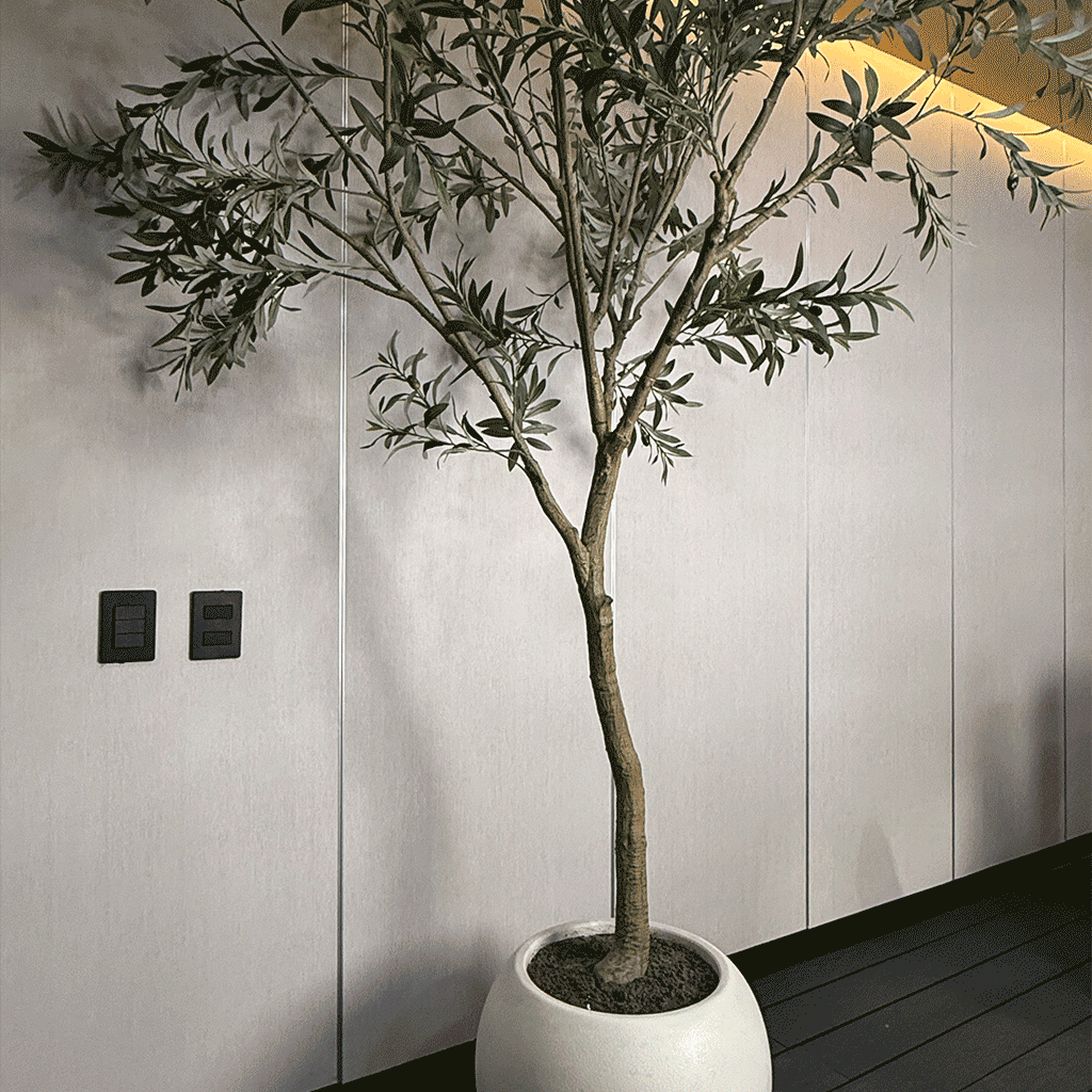 Cao Cao