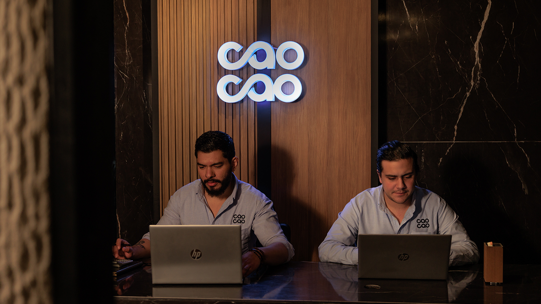 <strong>Asesoría especializada</strong>