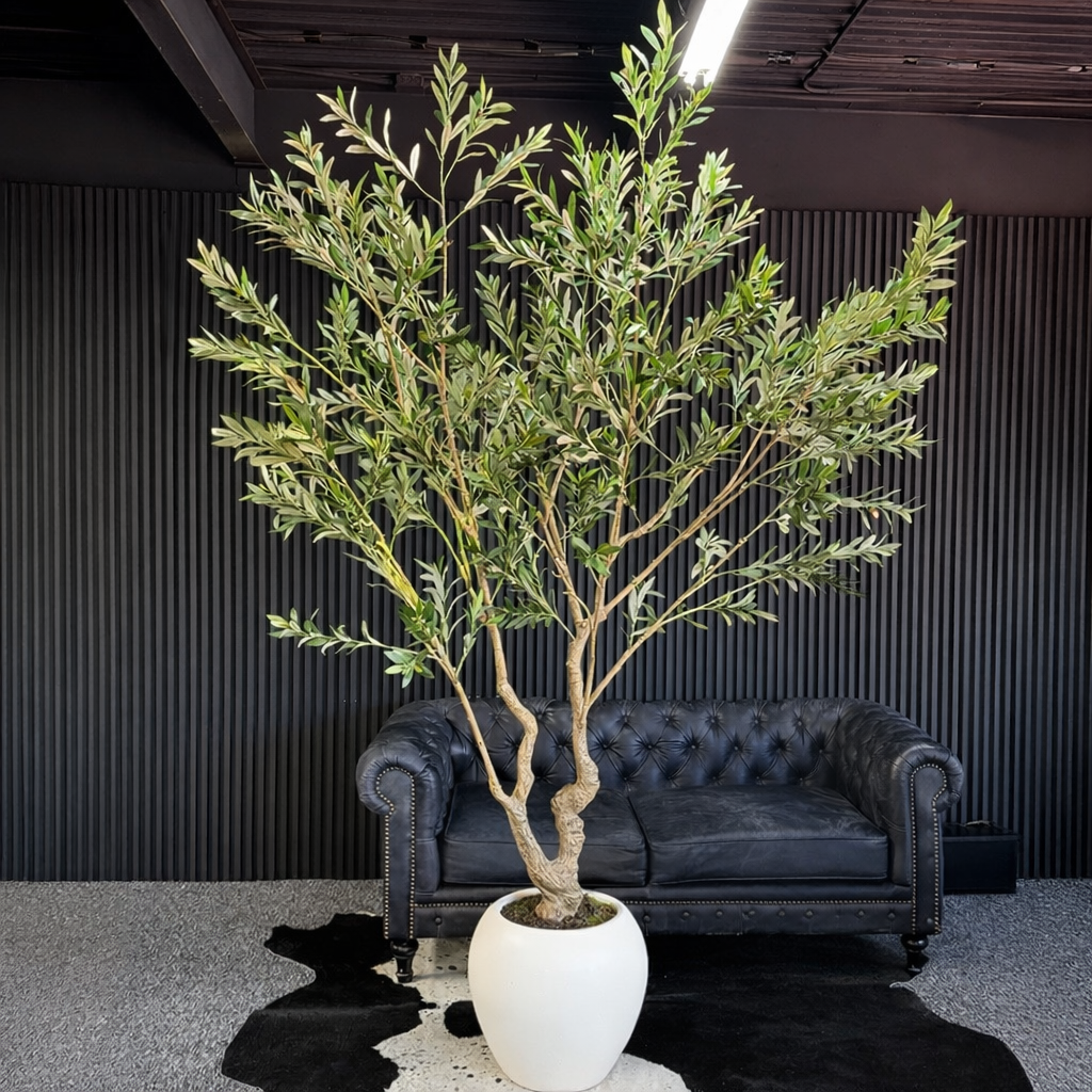 Árbol de Olivo Santorini 260 cm